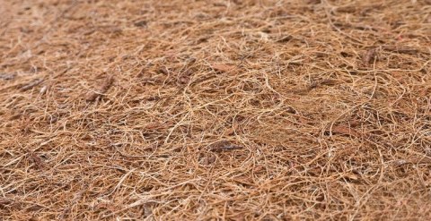 ND33_SILLO-0120 MATERAC MEMORY PIANKA TERMOELASTYCZNA-KOKOS ALOE VERA 120×60 (12cm)