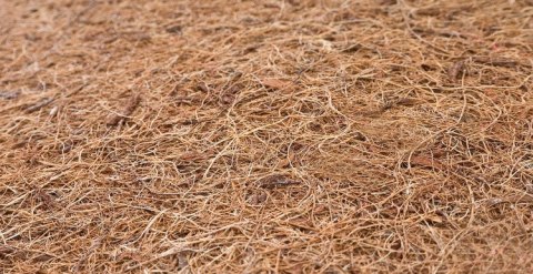 ND33_SILLO-0129 MATERAC LATEKS-PIANKA-KOKOS ALOE VERA 120×60 (12cm)