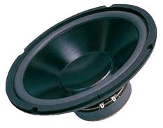 G1001-4 Głośnik 10