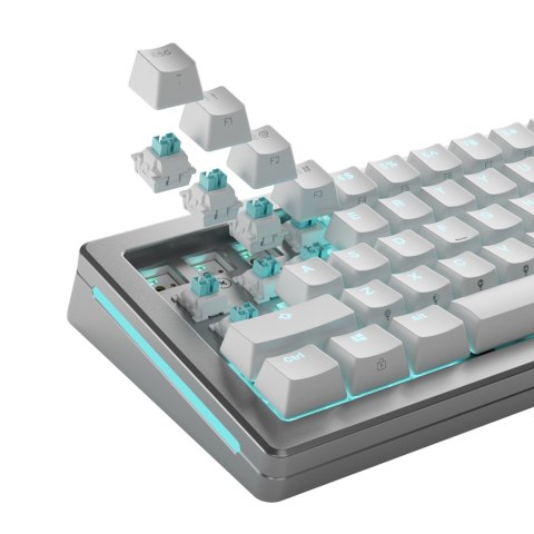 Glorious Gaming GLO-KB-ACC-SWT-LYNX-HE-36 bez kategorii