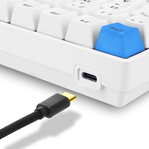 Sharkoon SKILLER SGK50 S3 PBT klawiatura Gaming USB QWERTZ Niemiecki Biały