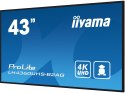 Monitor Iiyama 43 LH4360UHS-B2AG HDMI USB - 107.9 cm - 42.5"