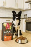 Sucha Karma Dla Psa RAFI Adult z Kaczką 3 kg - 1 szt.