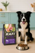 Sucha Karma Dla Psa RAFI Adult z Królikiem 3 kg - 2 szt.