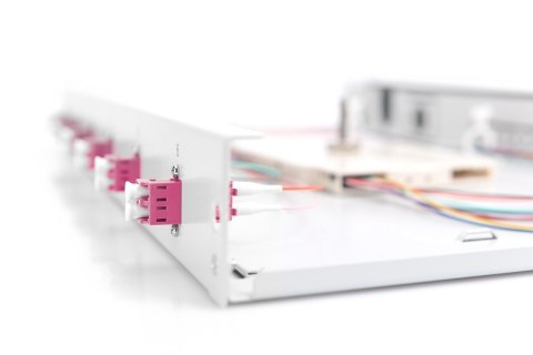 Digitus Panel światłowodowy, z wyposażeniem, LC, OM4