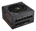 COUGAR Zasilacz GEX PRO 650W ATX3.1 / 80 Plus Złoty / Modułowy