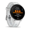 Smartwatch Garmin Forerunner 165 Music Mist Grey Whitestone