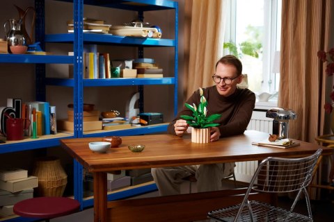 LEGO Botanical 11504 Skrzydłokwiat w doniczce