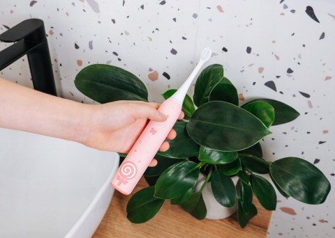 Szczoteczka soniczna różowa ZK6010 CONCEPT