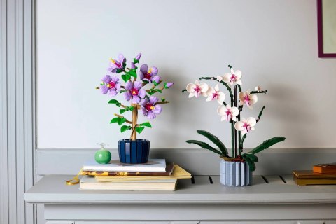 LEGO Botanical Collection 10372 - Hibiskus