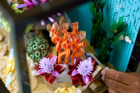 LEGO 10366 Icons - Tropikalne akwarium