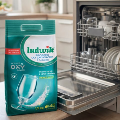 Ludwik 5-funkcyjny Proszek Do Zmywarek Worek 1,5kg
