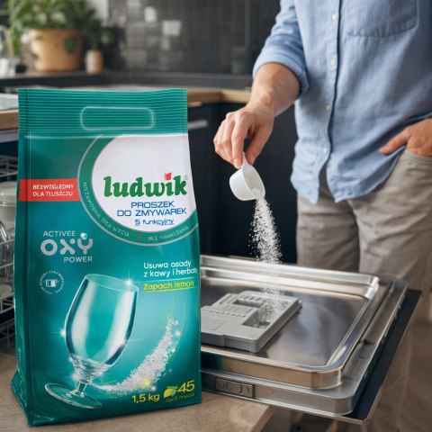 Ludwik 5-funkcyjny Proszek Do Zmywarek Worek 1,5kg