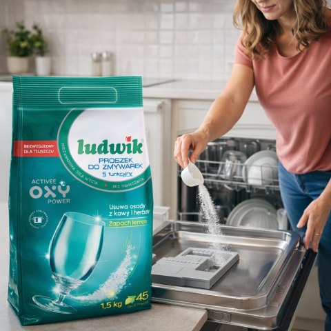 Ludwik 5-funkcyjny Proszek Do Zmywarek Worek 1,5kg