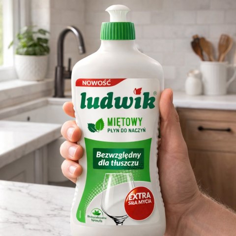 Ludwik Płyn Do Naczyń Miętowy Butelka 900g