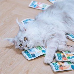 ANIMAL ISLAND indyk/biała ryba w rosole karma dla kota 80x85g