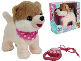 Maskotka interaktywna piesek chodzący na smyczy