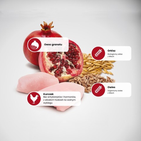 FARMINA N&D Ancestral Grain Selection Adult Medium & Maxi - sucha karma dla psa - 12kg + 3kg