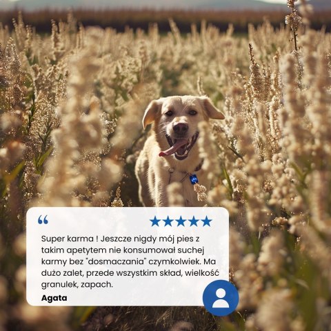 FARMINA N&D Ancestral Grain Selection Adult Medium & Maxi - sucha karma dla psa - 12kg + 3kg