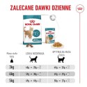 ROYAL CANIN FHN Cat Ageing 15+ 4kg