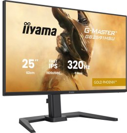 Iiyama G-MASTER GB2591HSU-B1 monitor komputerowy 62,2 cm (24.5