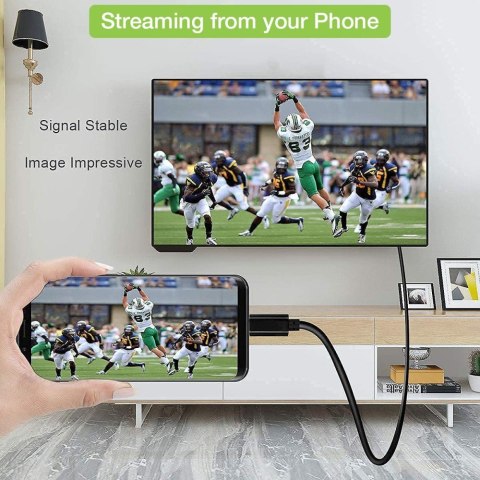 Techly IADAP USBC-HDMI2TY zewnętrzna karta graficzna usb 3840 x 2160 px Czarny