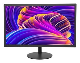 Monitor 18.5