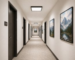 Plafon led Vena 24W 4000K RAL7016 czujnik mikrof