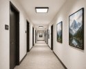 Plafon led Vena 24W 4000K RAL9004 czujnik mikrof