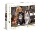 CLEMENTONI puzzle 1000 HQC GATTINI 39340 CLEMENTONI