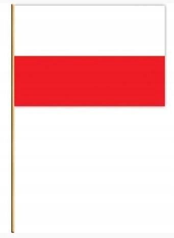 Chorągiewka PL kpl. 20szt. 63032 PROMATEK2