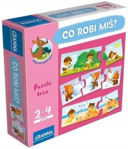 Gra CO ROBI MIŚ? 03529 GRANNA