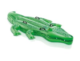 Zabawka d/pływ Aligator 213X114 58562NP /6 85625. ALIGATOR