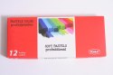 ND39_350304 PASTELE SUCHE 12KOL TO TO-580 82 PUD TOMA