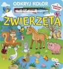 Odkryj kolor Zwierzęta 58.11.13 10890 MOREX