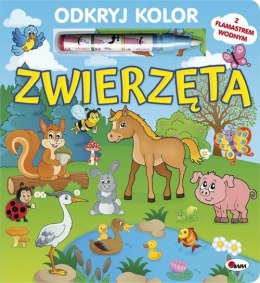 Odkryj kolor Zwierzęta 58.11.13 10890 MOREX