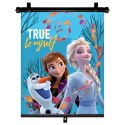 ND15_9343 ROLETA PRZECIWSŁONECZNA 1SZT 36*45CM FROZEN 2 FROZEN