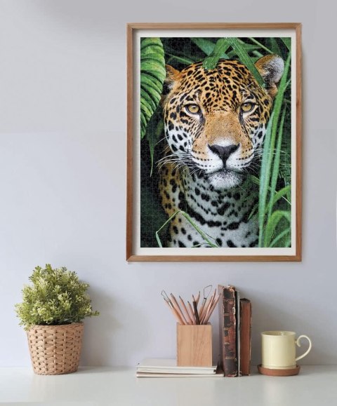 !!! CLE puzzle 500 HQ Jaguar in the Jungle 35127 JAGUAR