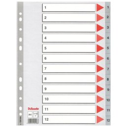 ND39_125778 PRZEKLADKA A4 PP ESS 1-12 NUM POP 100106 FOL ESSELTE