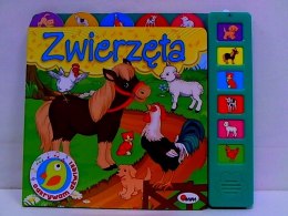 Odkrywam dźwięki Zwierzęta 58.11.13 62512 AWM