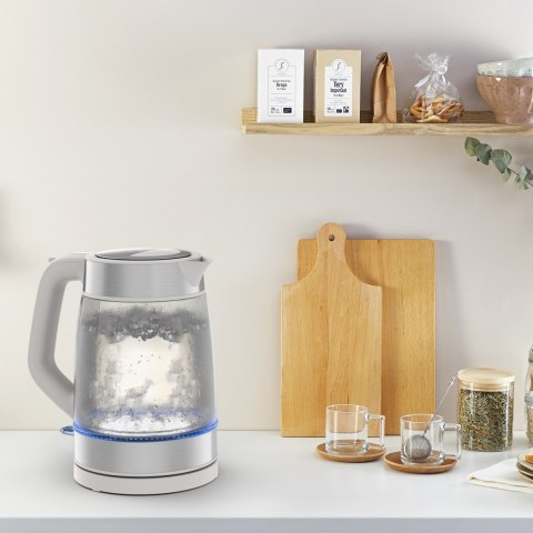 Tefal Glass Kettle KI605B30 czajnik elektryczny 1,7 l 2200 W Szary, Srebrny, Przezroczysty