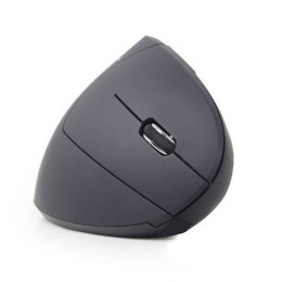 Gembird Gembird | Bezprzewodowa mysz optyczna 2,4 GHz | MUSW-ERGO-01 | Mysz optyczna | USB | Czarny