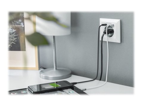 Digitus Digitus | Wtyczka bezpieczeństwa do montażu podtynkowego z 1 x USB Type-C, 1 x USB A
