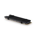 AXAGON AXAGON Passive aluminum heatsink for all M.2 SSDs, size 2280, high 3 mm | CLR-M2L3
