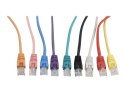 Cablexpert Cablexpert | Patch Cord Cat.5e UTP 0.25m | Black