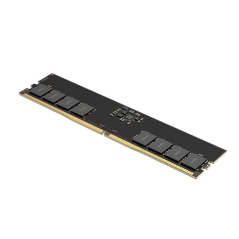 Lexar Lexar 16 GB | DDR5 | 5600 MHz | PC/server | Registered No | ECC Yes