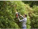 BLACK & DECKER BLACK & DECKER | BEHTS301-QS | Hedge Trimmer