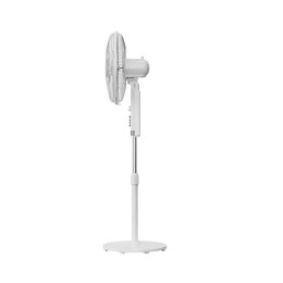 Midea Midea FS40-23MT | Stand Fan | White | Diameter 40 cm | Number of speeds 3 | Oscillation | 50 W