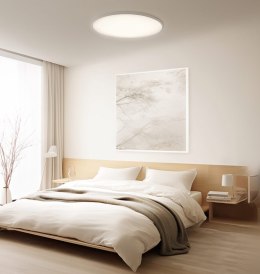 Xiaomi Xiaomi Smart Ceiling Light D40 | 45 W