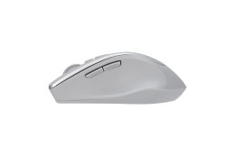 Asus Asus WT425 MOUSE/SIL